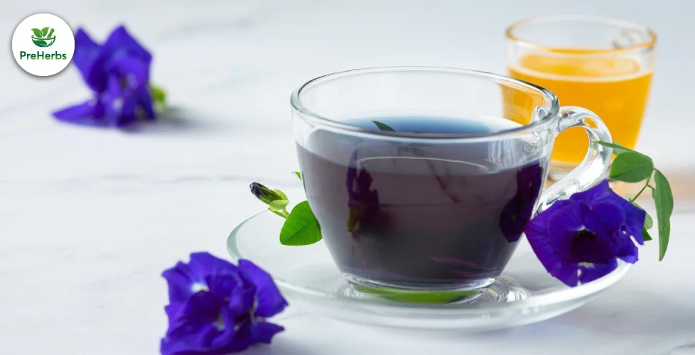 The Ultimate Guide to Blue Lotus Tea: Benefits, Brewing, and Beyond