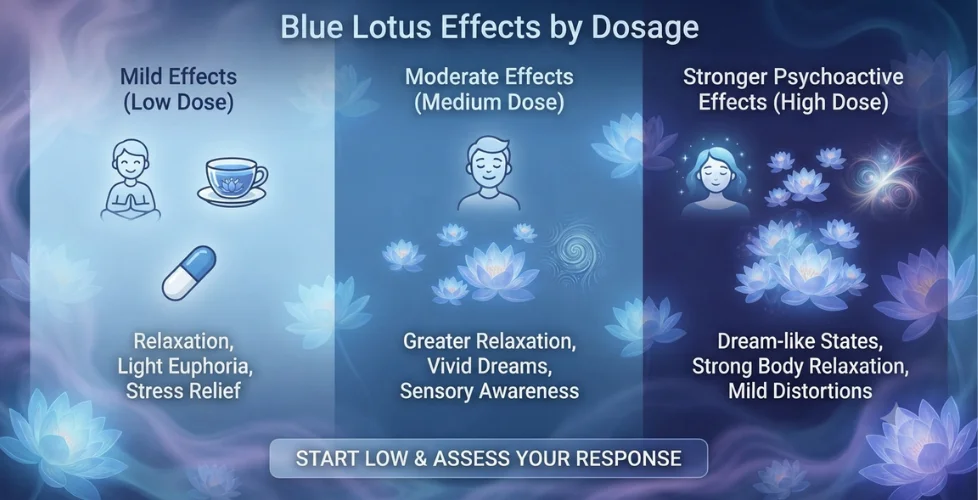 Blue Lotus Effects by Dosage