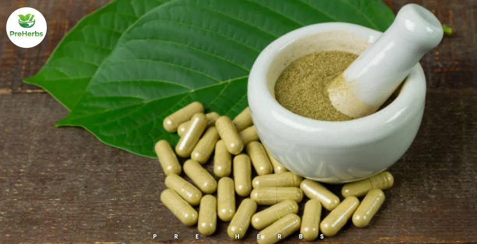 Different Types of Kratom: Benefits and Effects