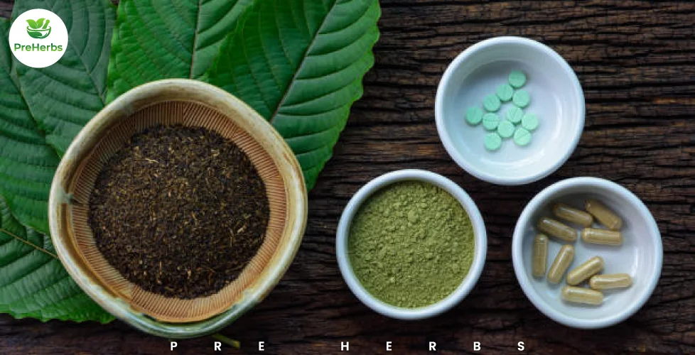 Does Kratom Show Up on a Drug Test? A Comprehensive Guide