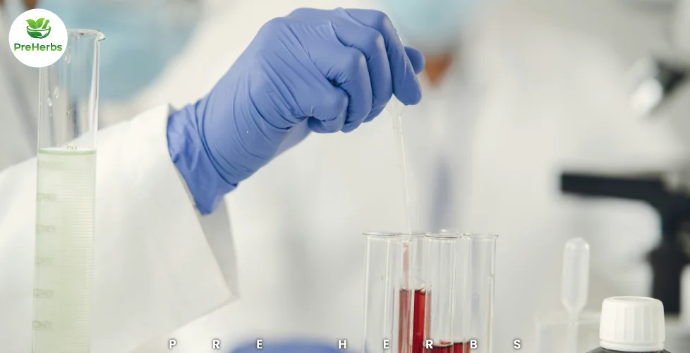 How Drug Tests Work
