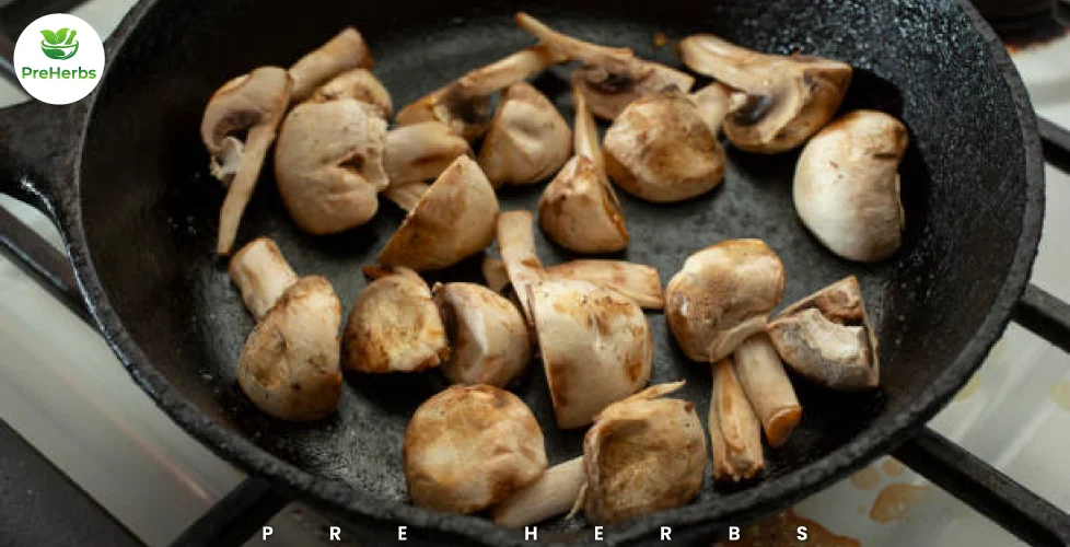 Can Dogs Eat Cooked Mushrooms?