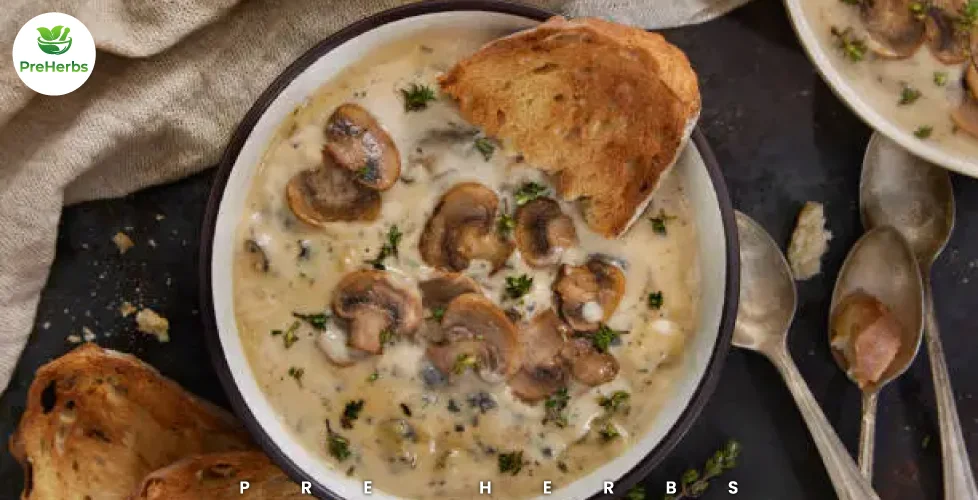 Mushroom Soup Recipe​: A Complete Guide for Beginners