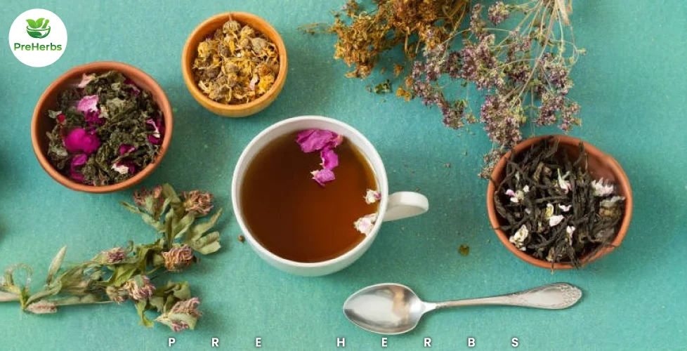 Natural Sleep Solutions The Best Herbal Teas for Deep Rest