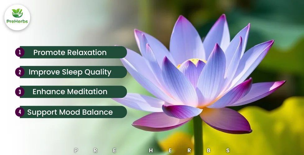Benefits of Blue Lotus Flower
