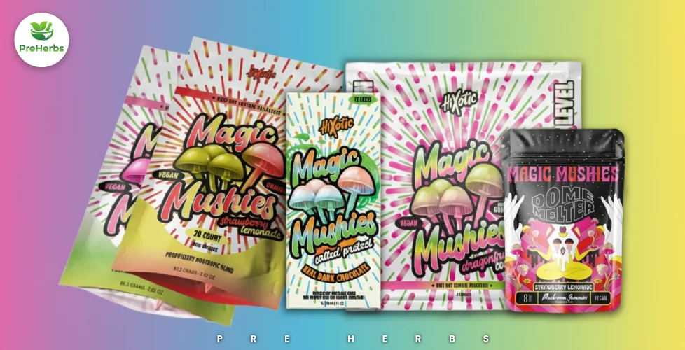 Unlocking the Magic:A Complete Guide to Hixotic Magic Mushies