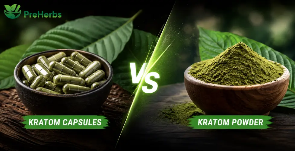 Kratom Capsules vs. Kratom Powder: Key Differences