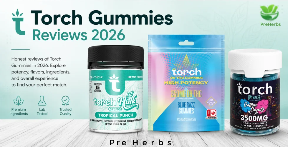 Torch Gummies Reviews 2026 Benefits, Effects & Buying Guide