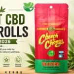 Best CBD Pre Rolls in 2026 Top Picks & Buying Tips