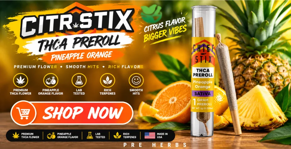 Chief Stix Premium THCa Pre-Roll 1g