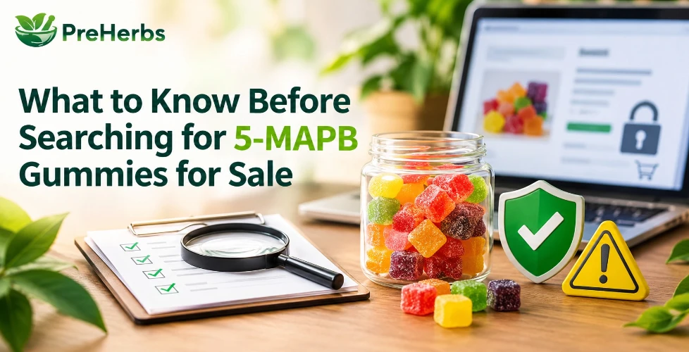 What to Know Before Searching for 5-MAPB Gummies for Sale